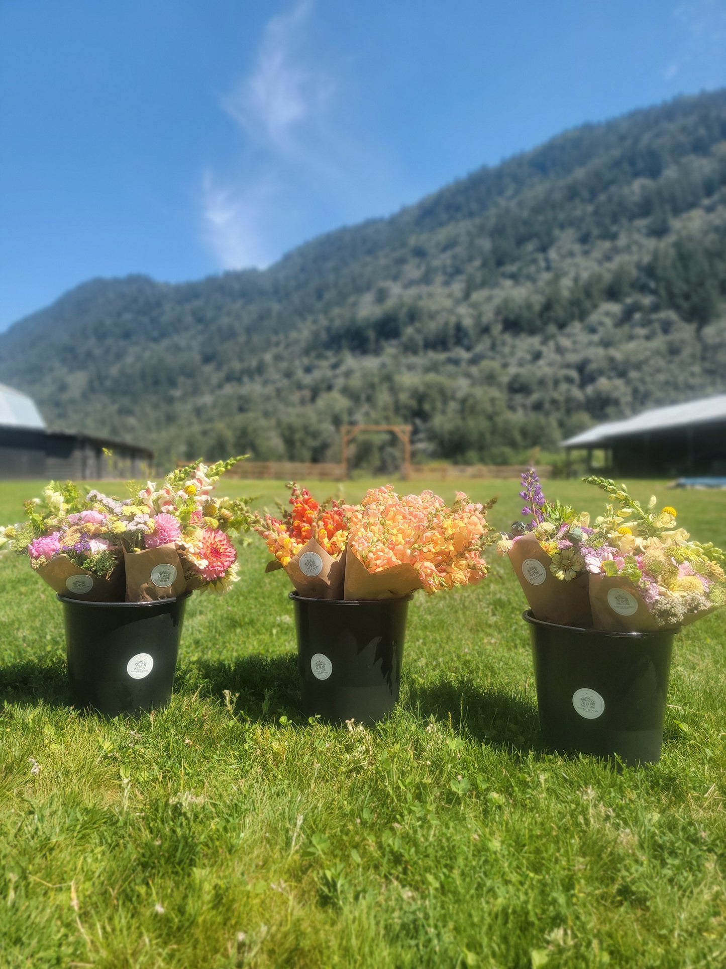 Sponsor a Senior Home Program