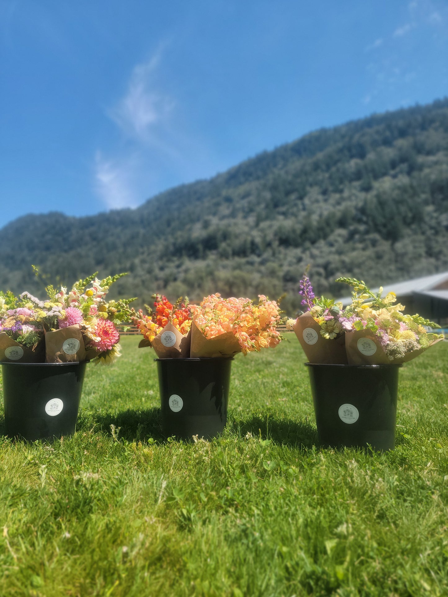 Bloom Bar Rental