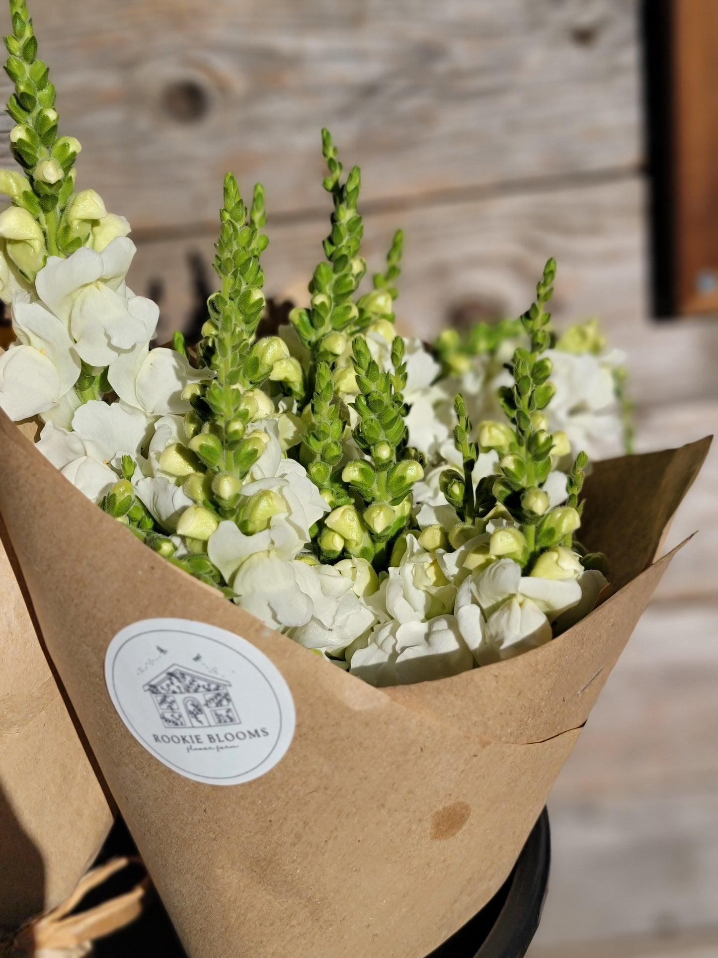 Fresh Cut Snapdragon Bouquet