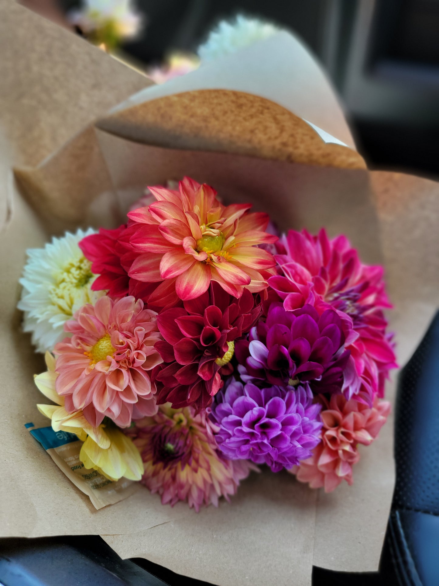 Mystery Dahlia Pack: 5 Tubers for $25