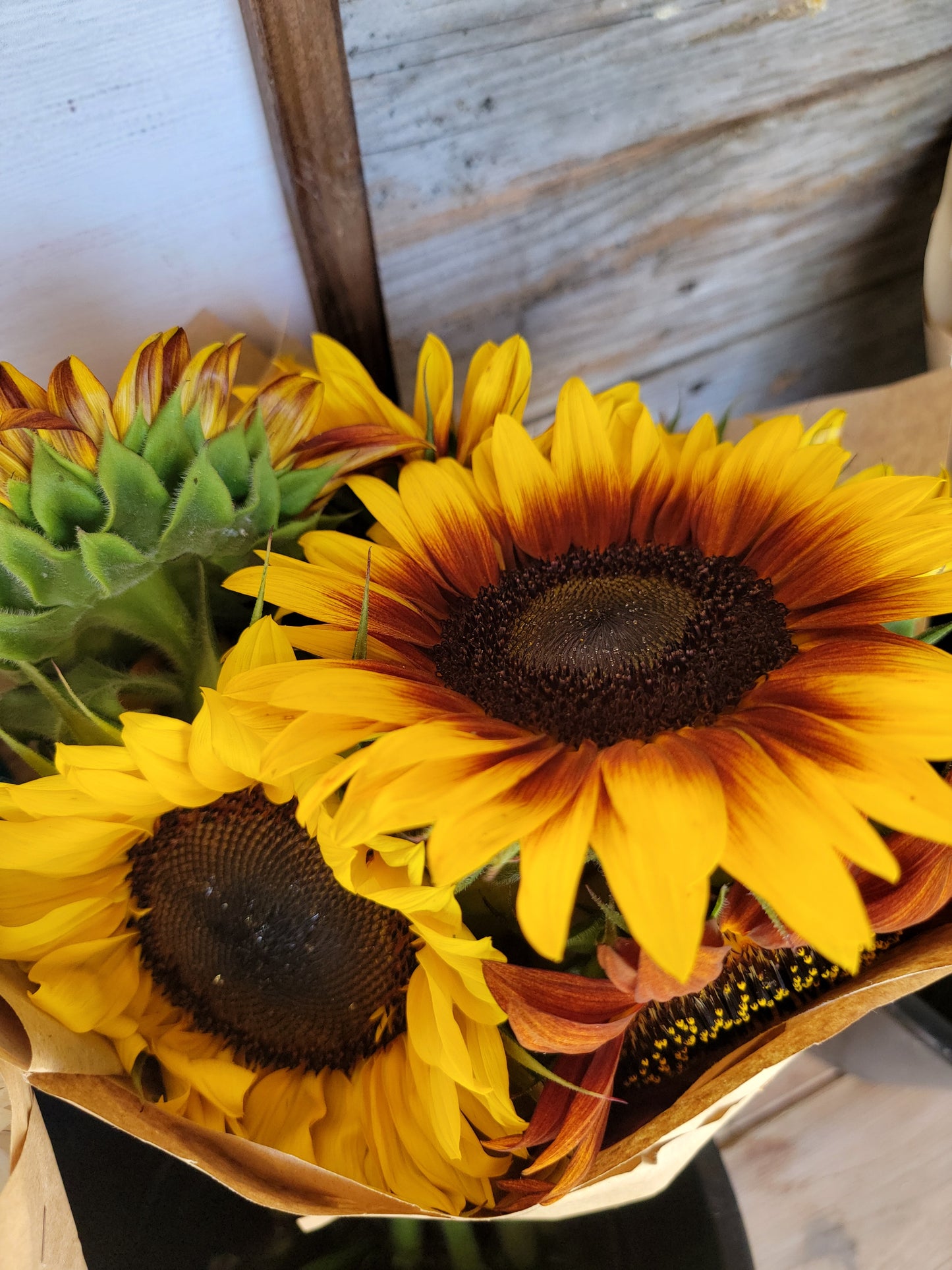 August Sunflower Subscription