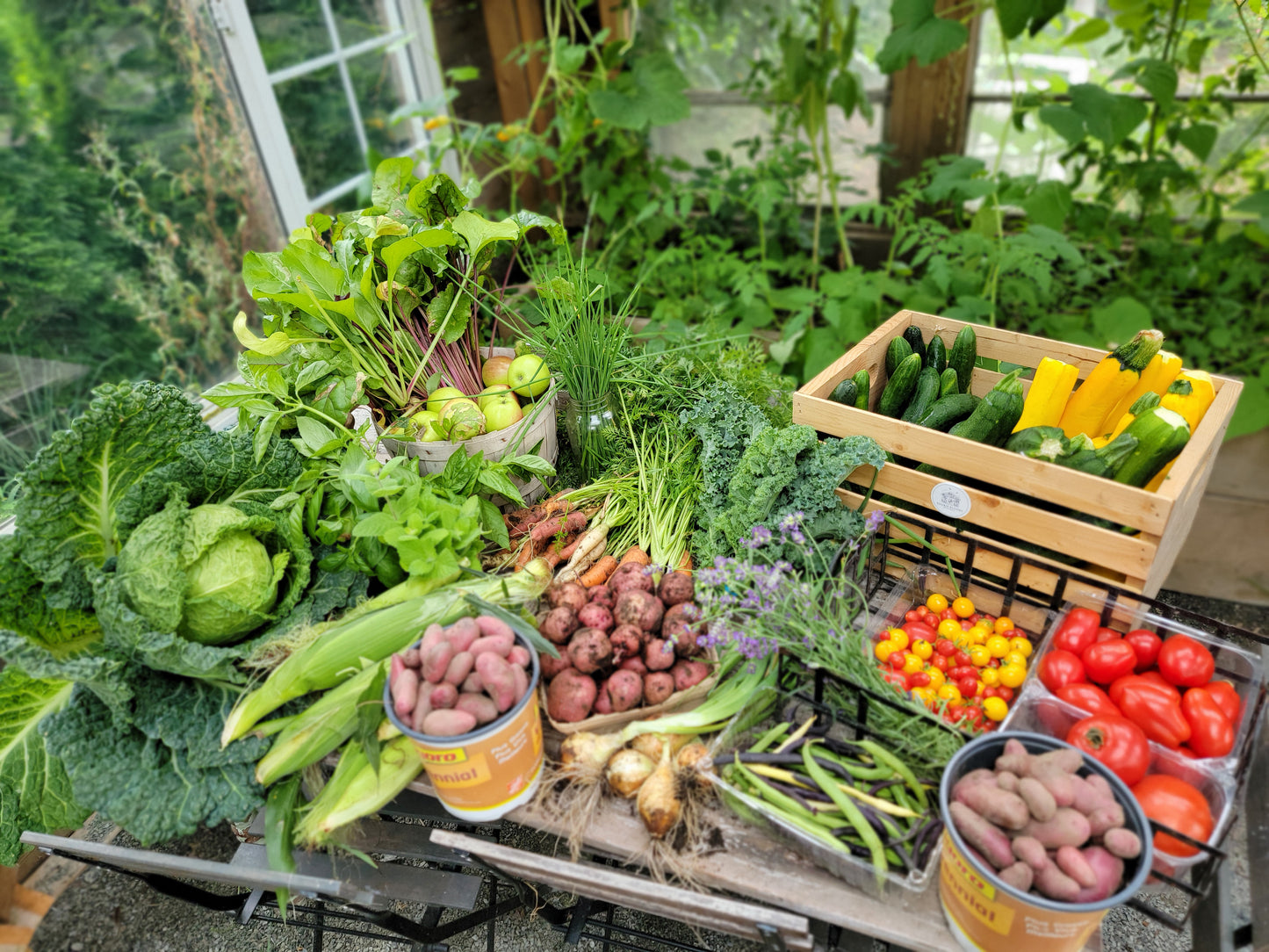 Fall Harvest Box Subscription