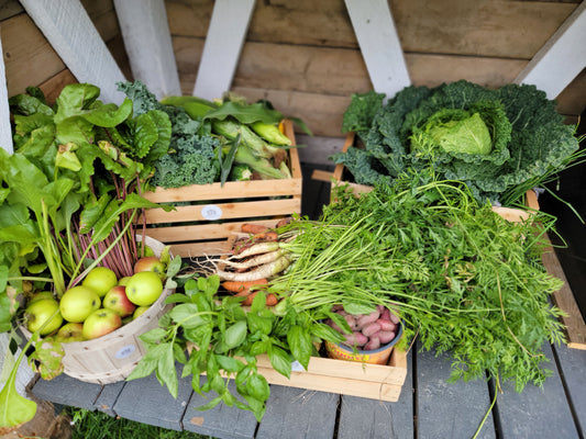 Fall Harvest Box Subscription