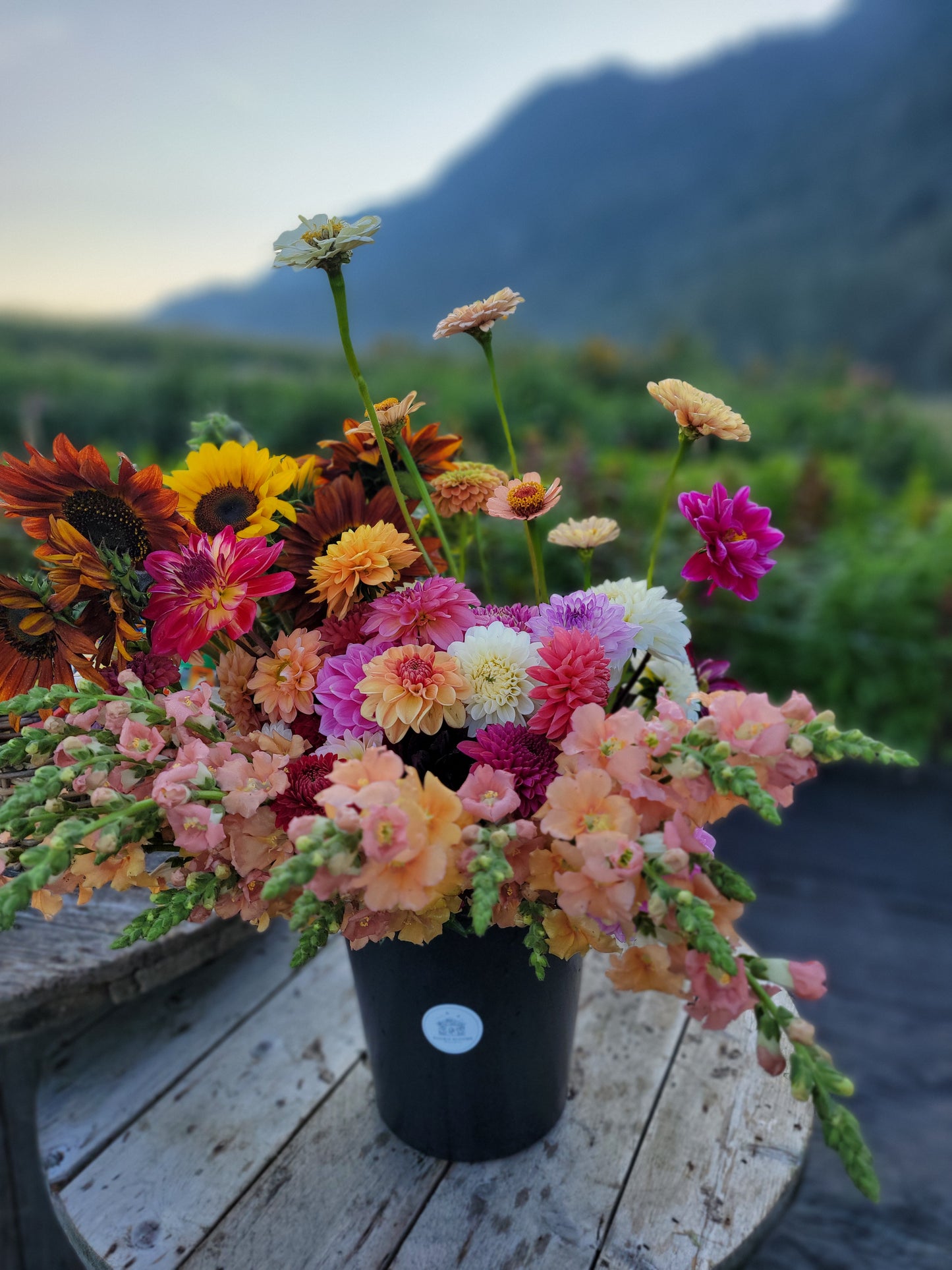 Seasonal Mixed Bucket of Blooms
