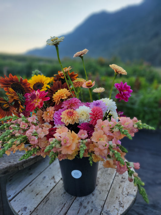 Seasonal Mixed Bucket of Blooms