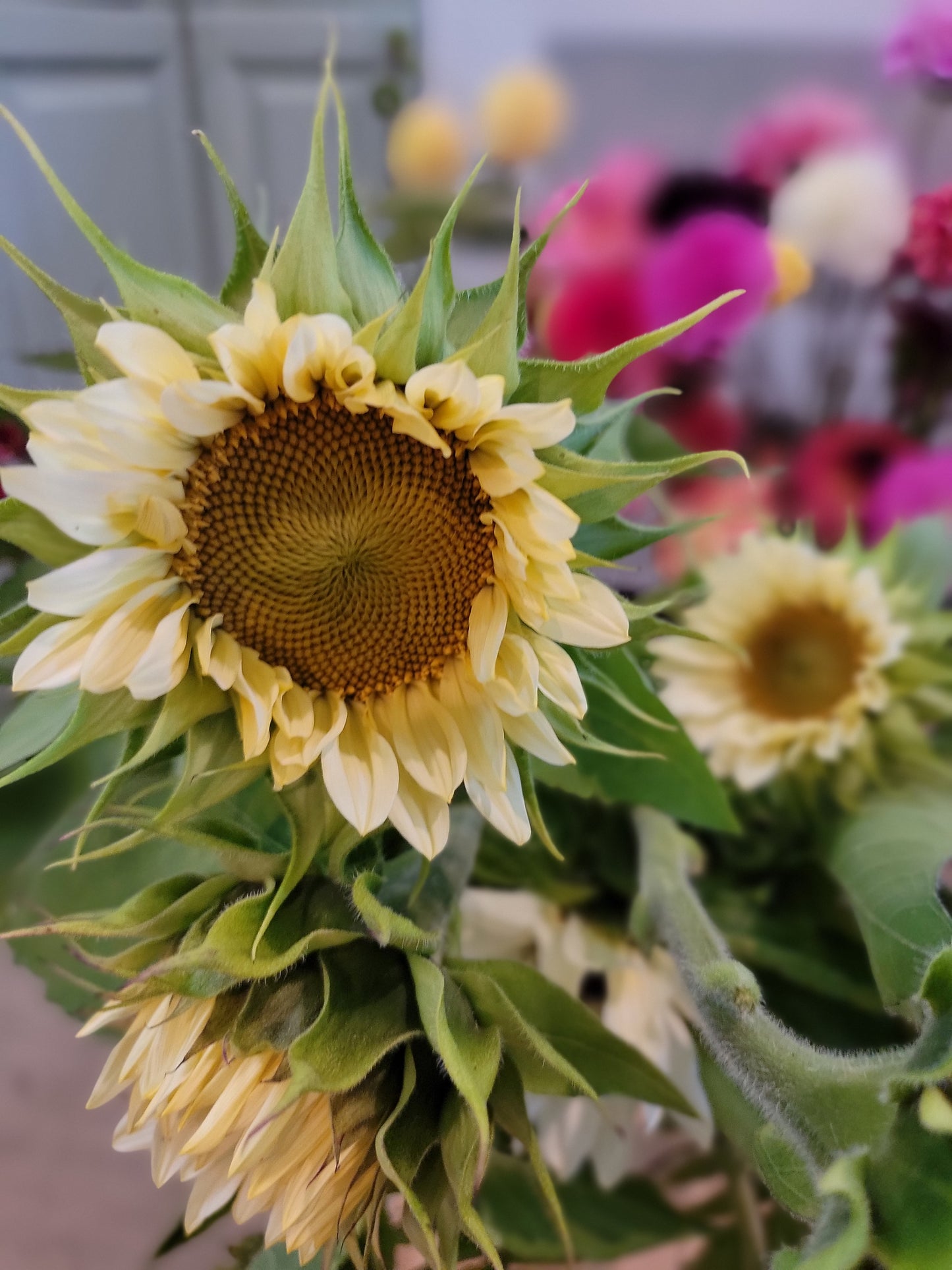 Seasonal Mixed Bucket of Blooms