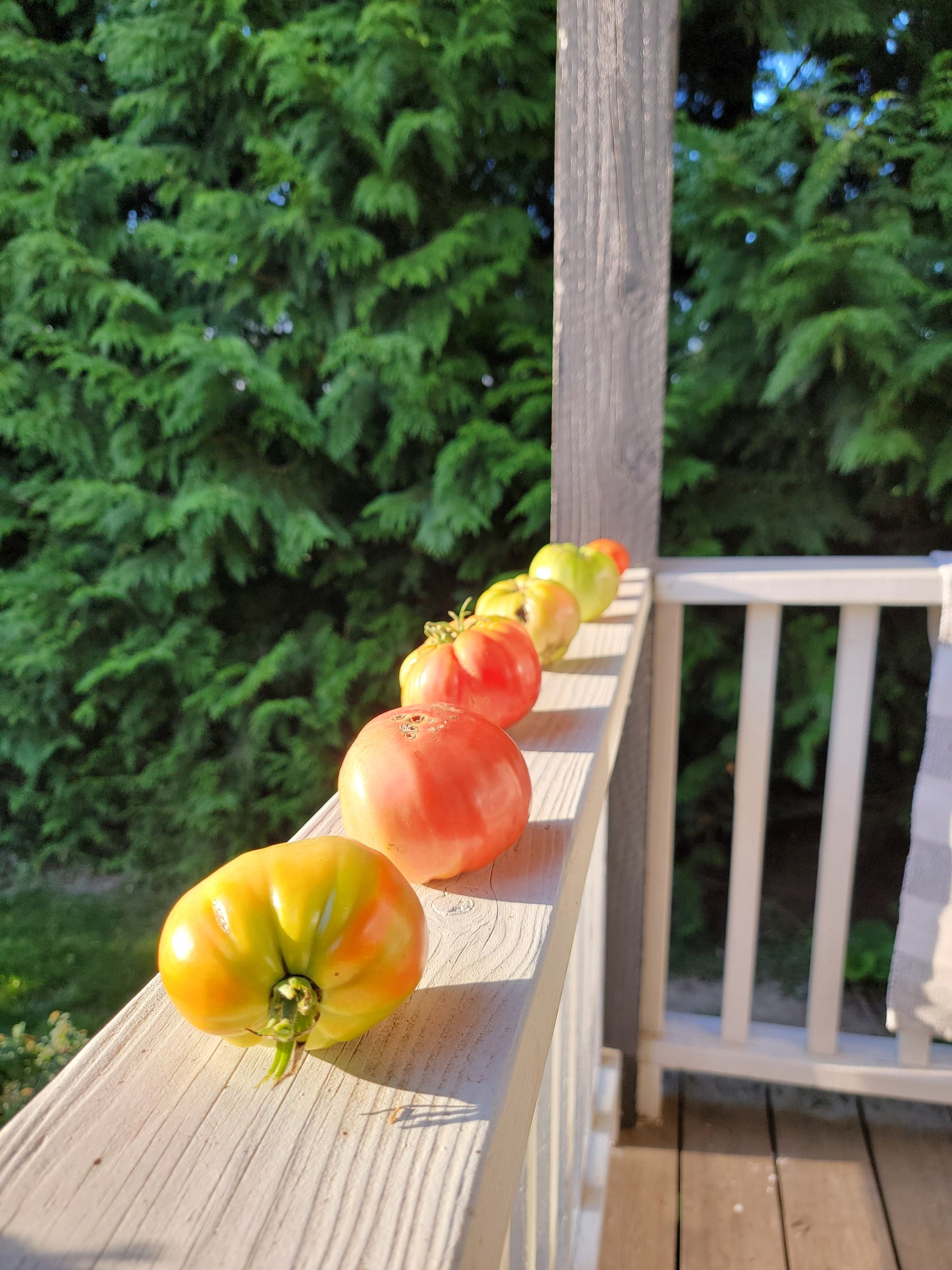 Fall Harvest Box Subscription