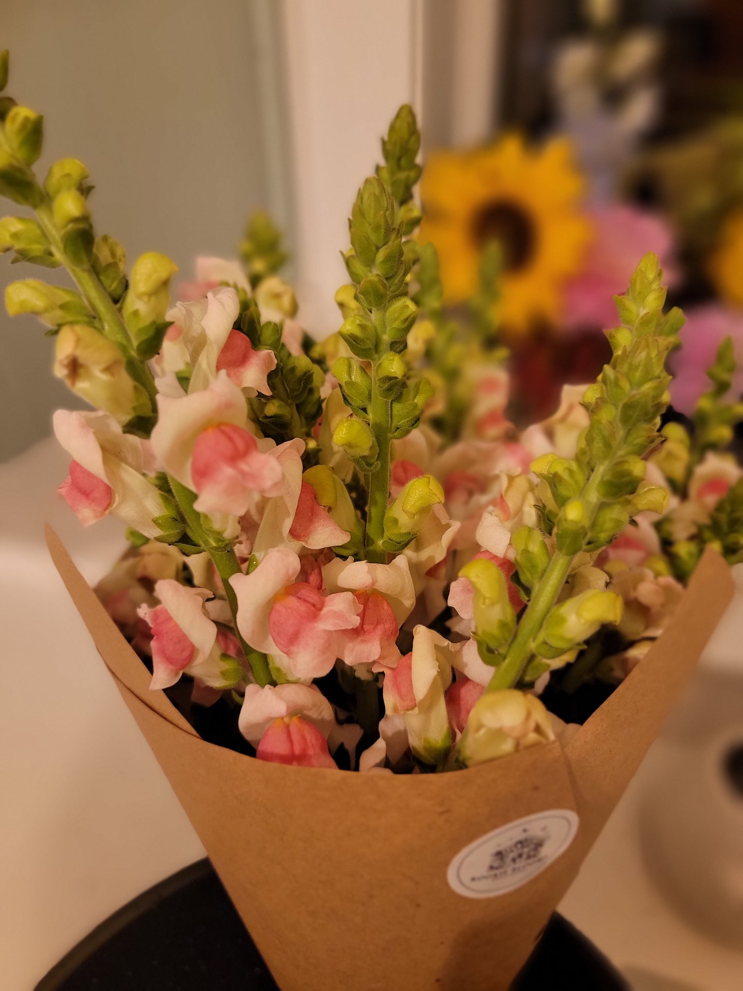 August Snapdragon Subscription