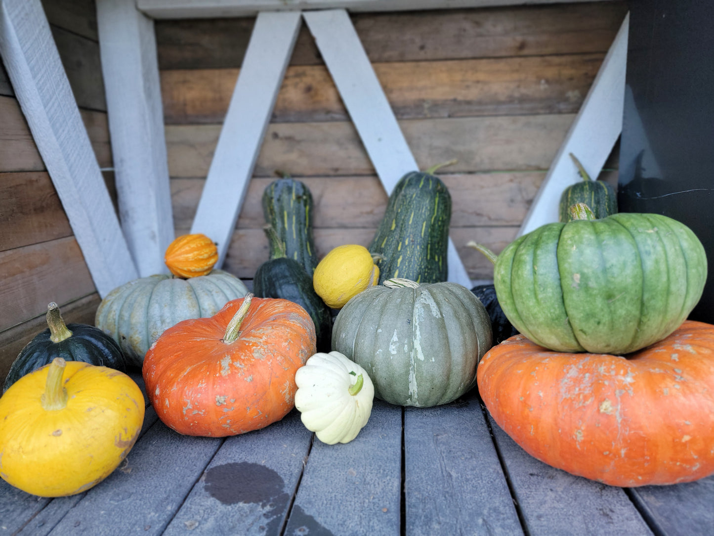Autumn Harvest Pumpkin Arrangement