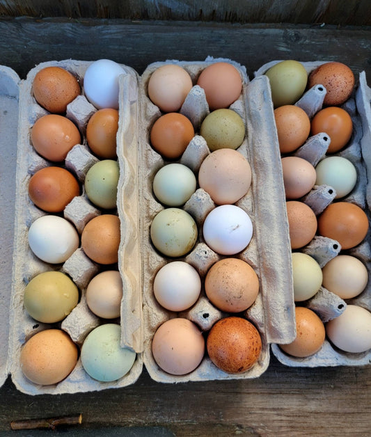Farm Fresh, Rainbow Eggs
