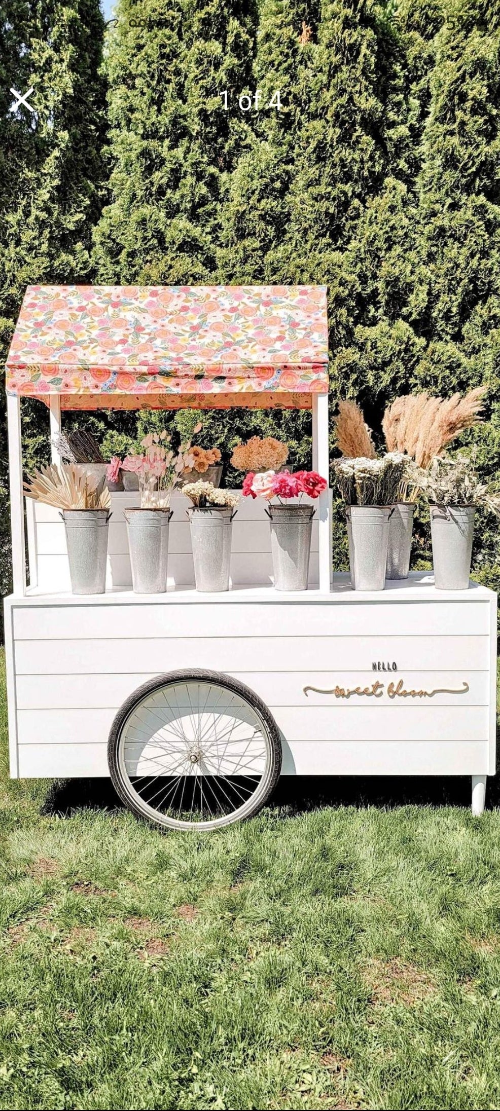 Bloom Bar Rental