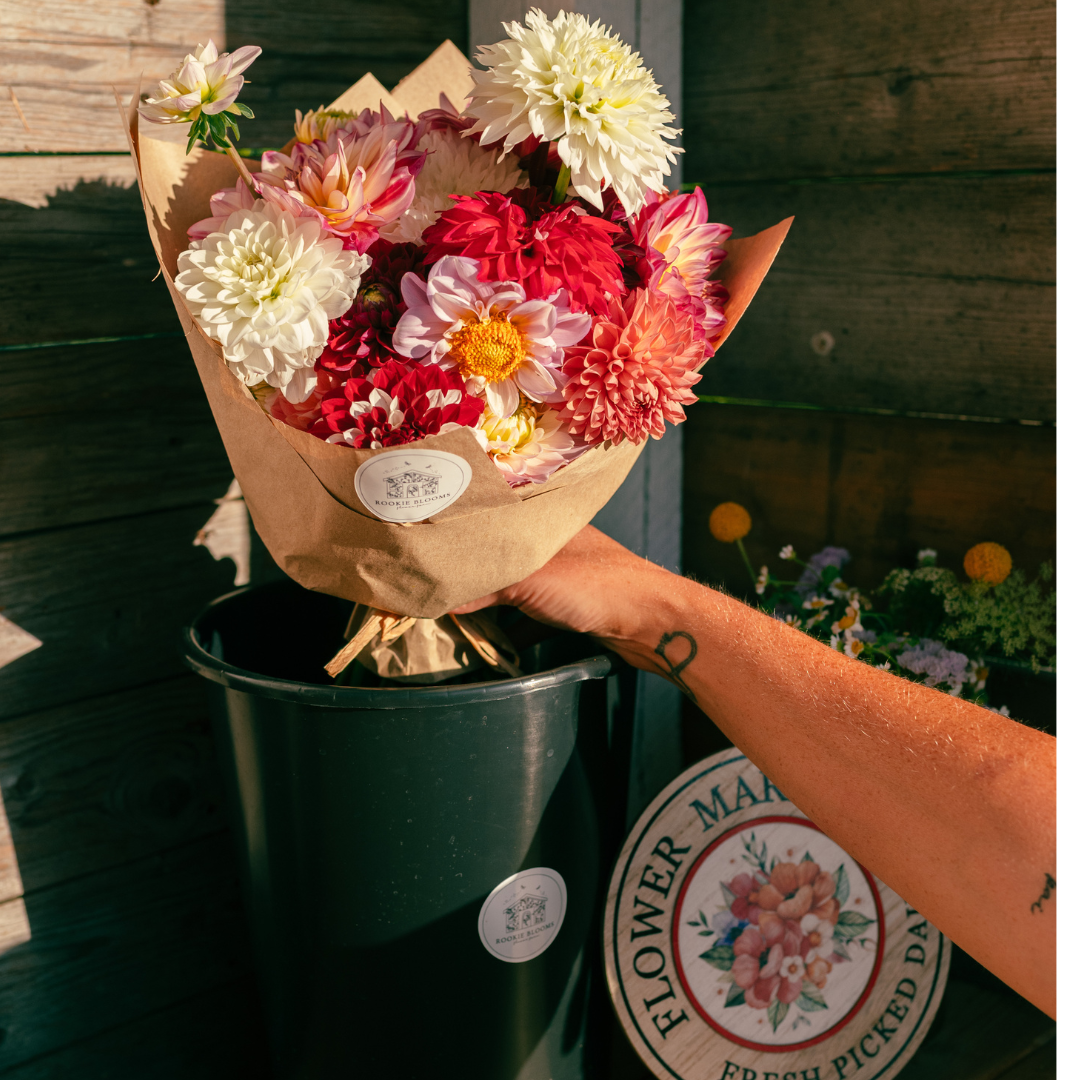 Fresh Cut Dahlia Bouquet