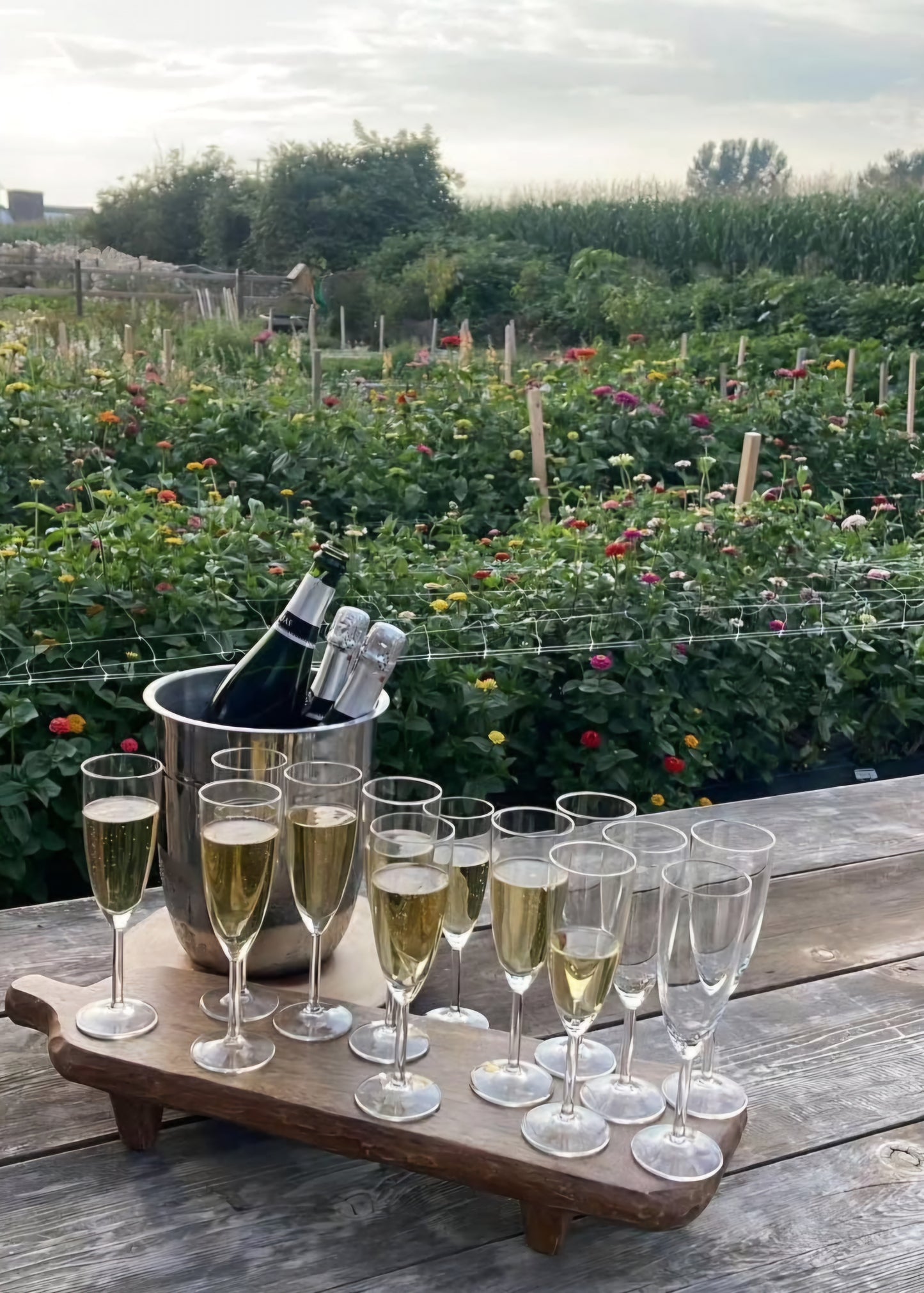 Farm-to-Table Dinner Experience at Rookie Blooms Flower Farm