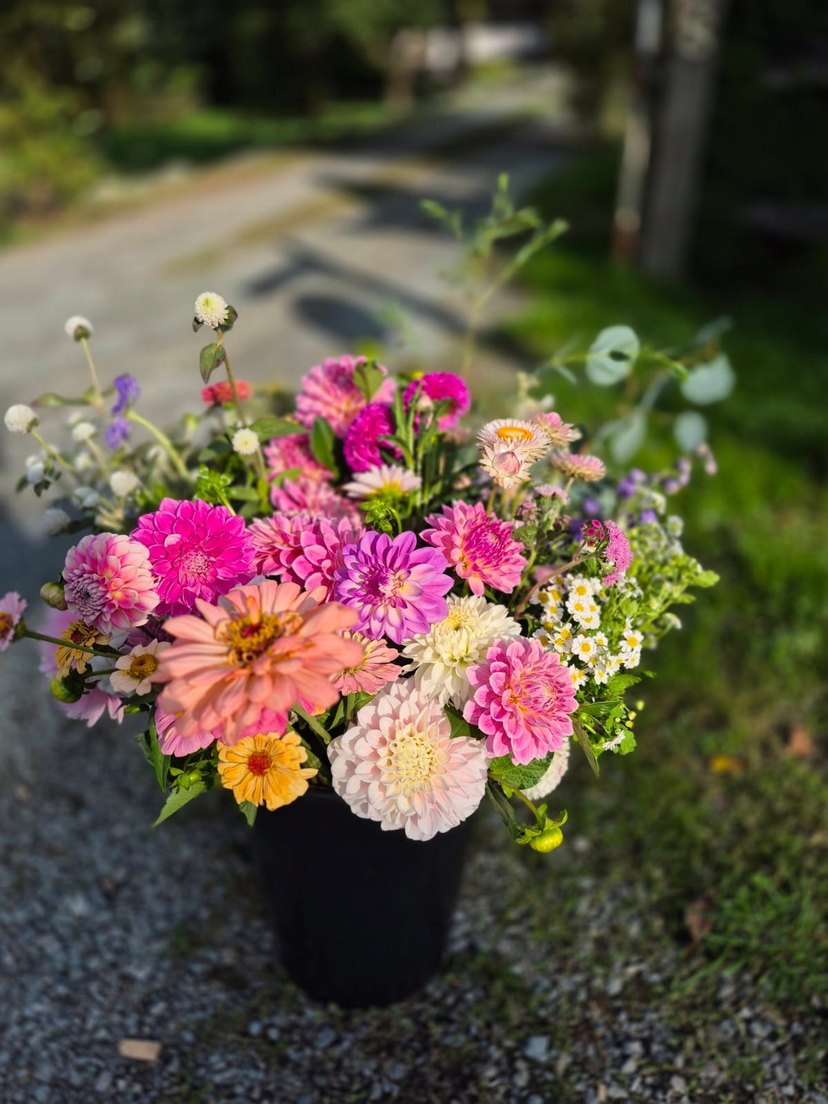 End of Season U-Pick Extravaganza!